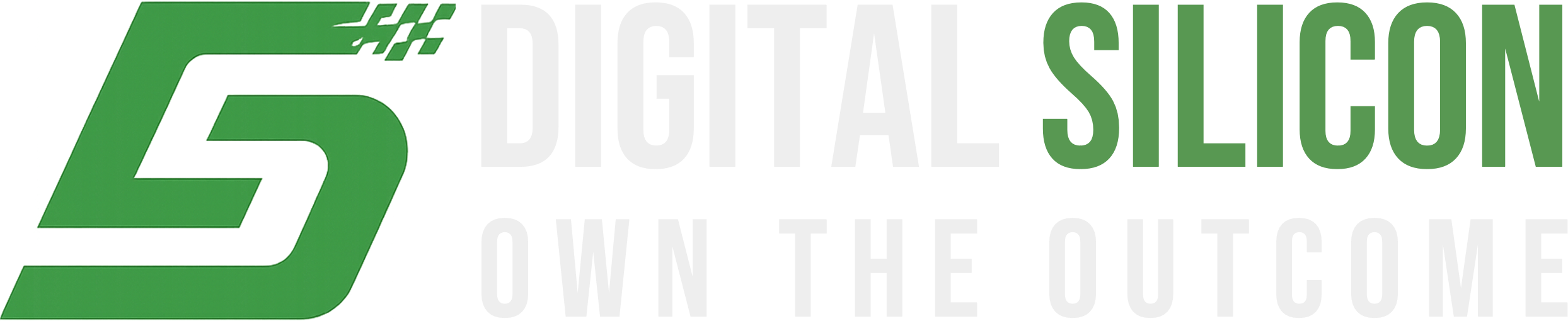 Digital Silicon logo